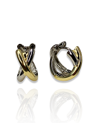 Серьги X Bicolor 2